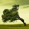 iphone 4 wallpapers Hd 4 500x750
