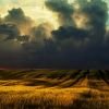 iphone 4 wallpapers Hd 1 500x750