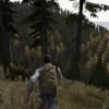 dayz02