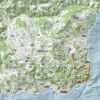 dayzday0