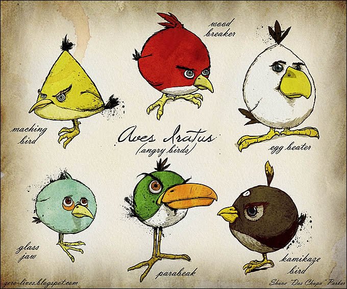 Angry-Birds-Real-Ornithological-Origin-1.jpg