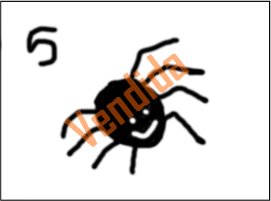 arana_5.jpg