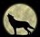 8Dark8Wolf8