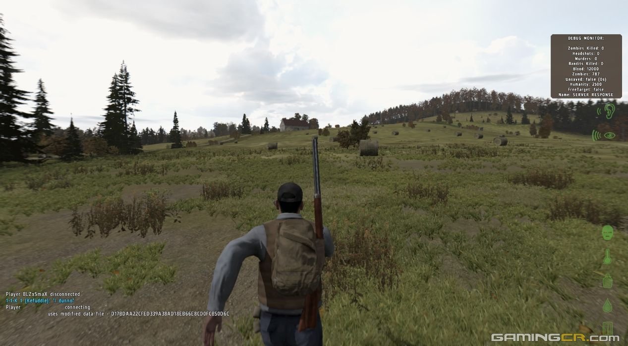dayz03