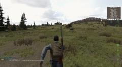 dayz03