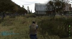 dayz01a