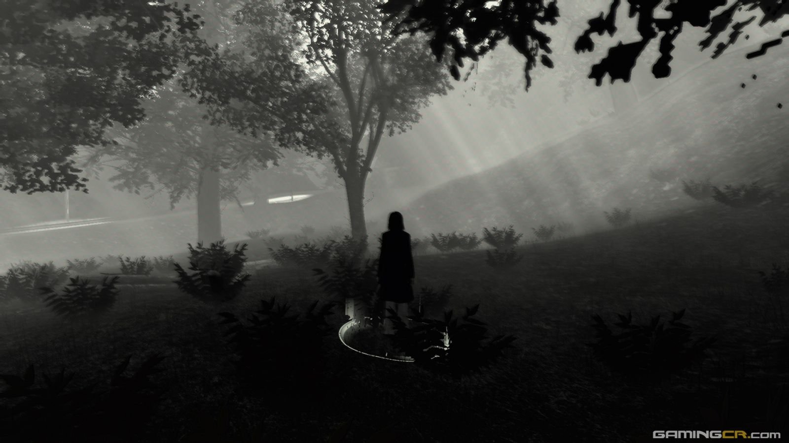 The Secret World Beta