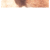 post-8-1203020605_thumb.png