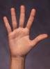 post-2-1139001016_thumb.jpg